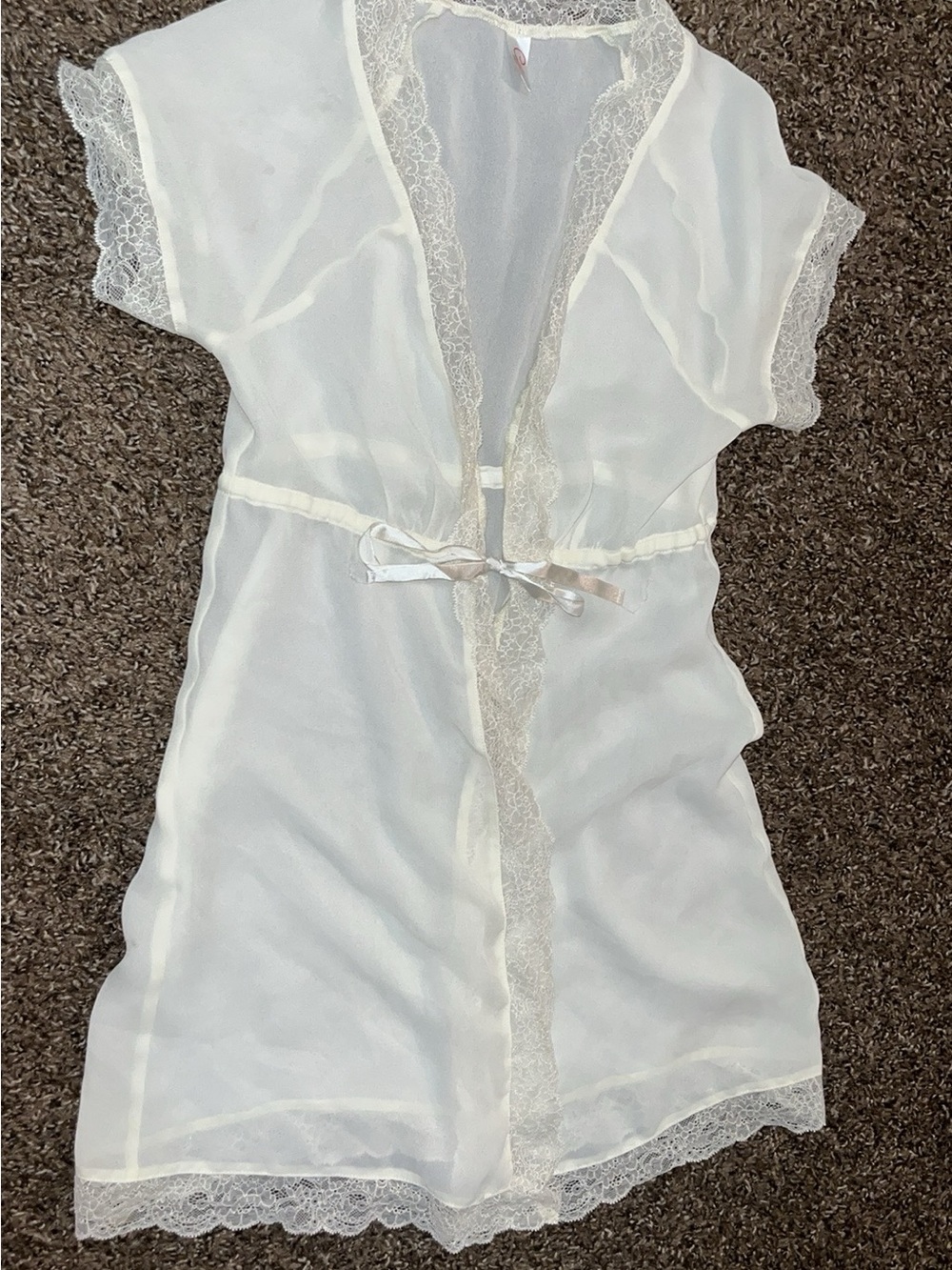 Delicate Sheer Lace-Trim Robe in Ivory - Women’s Intimates